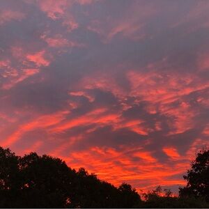 Meet your Posher, Jess